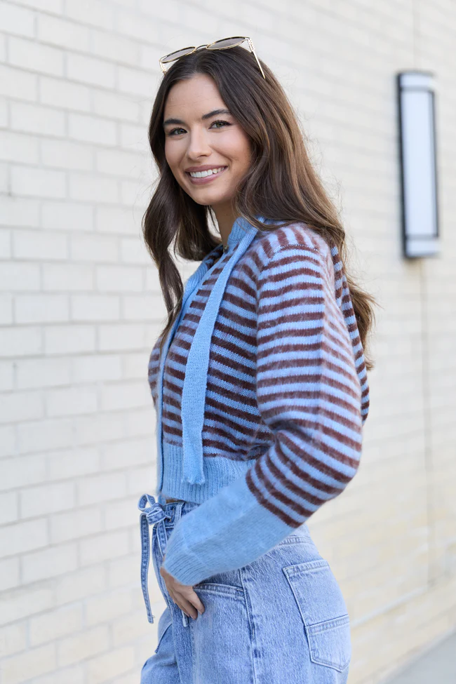 Cecile Blue And Brown Stripe Hooded Cardigan FINAL SALE - Image 3