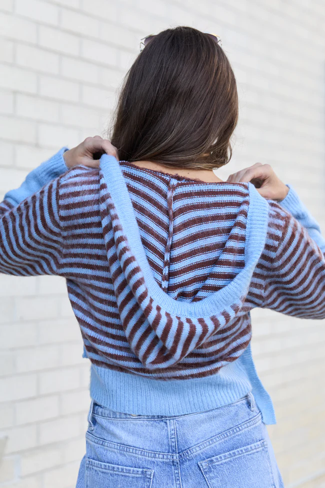 Cecile Blue And Brown Stripe Hooded Cardigan FINAL SALE - Image 4