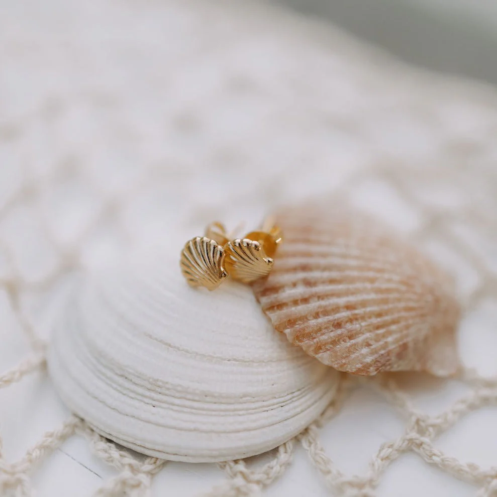 Sea Shell Stud Earrings